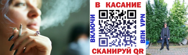 Бошки Шишки Шахты