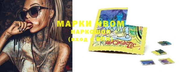 прущие грибы Алзамай