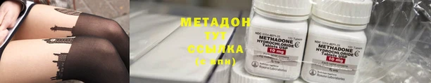 прущие грибы Алзамай