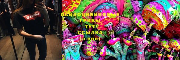 хмурый Алексин