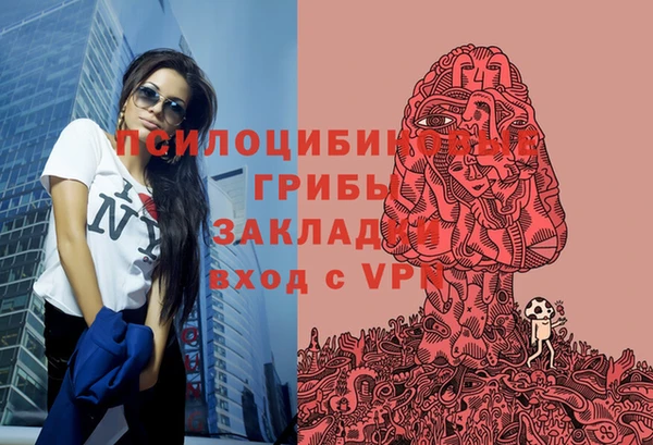 кокс Алексеевка