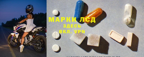 прущие грибы Алзамай