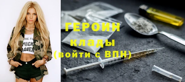 хмурый Алексин