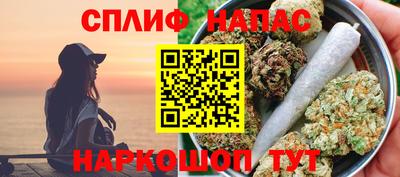 МДПВ Сланцы