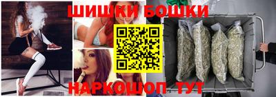 мдпв Славгород