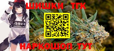 мдпв Славгород