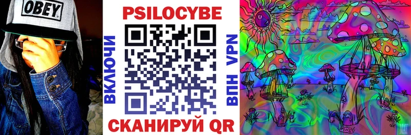 Галлюциногенные грибы Psilocybe  Шахты 