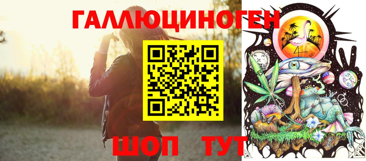 Псилоцибиновые грибы Psilocybine cubensis Шахты
