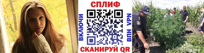 хочу наркоту Шахты Бошки марихуана MAZAR